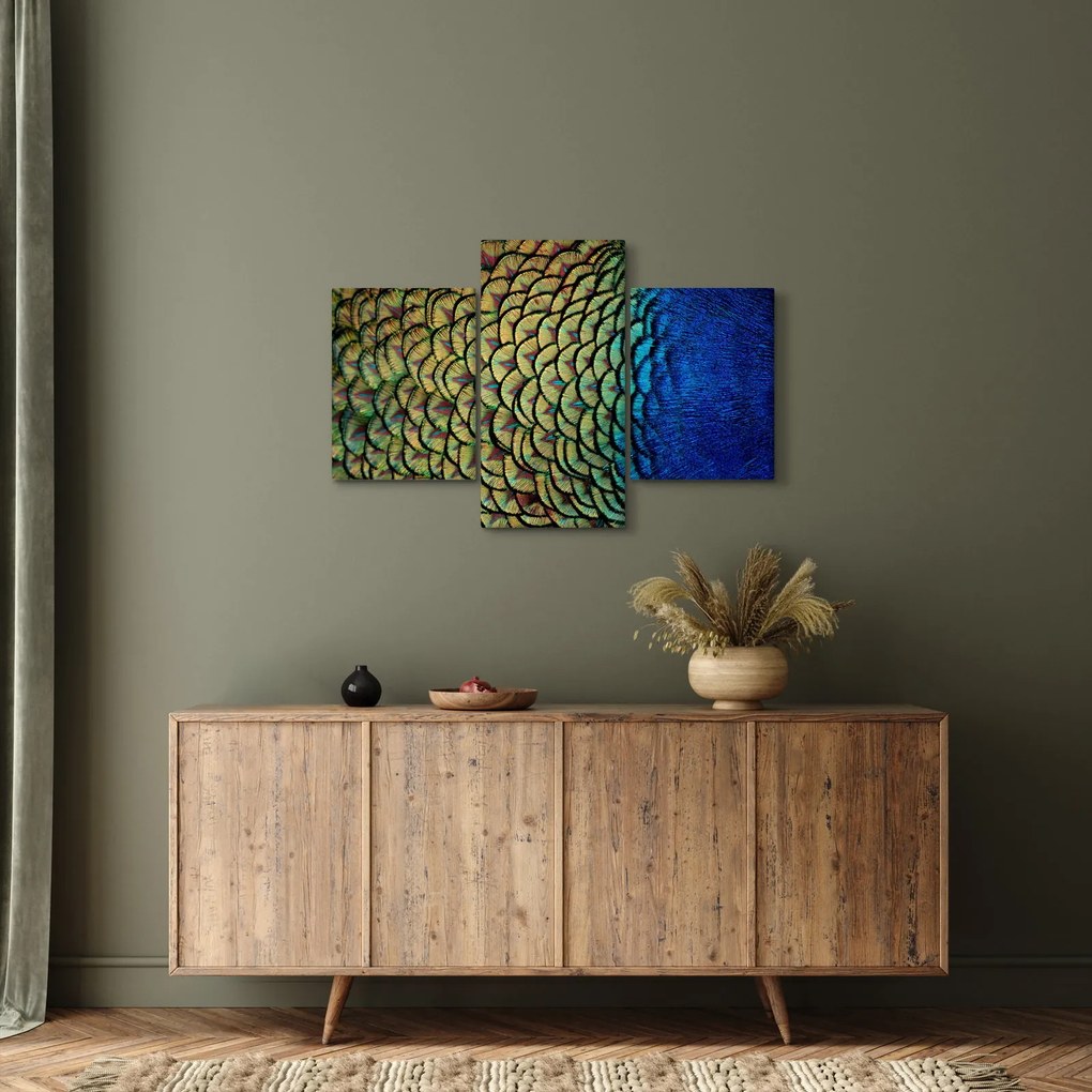 Kép - Pávatollak (90x60 cm)