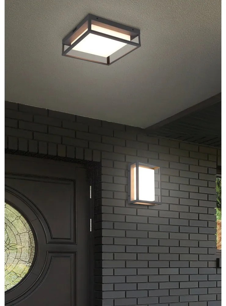 LED fali kültéri lámpa (magasság 10 cm) Witham – Trio