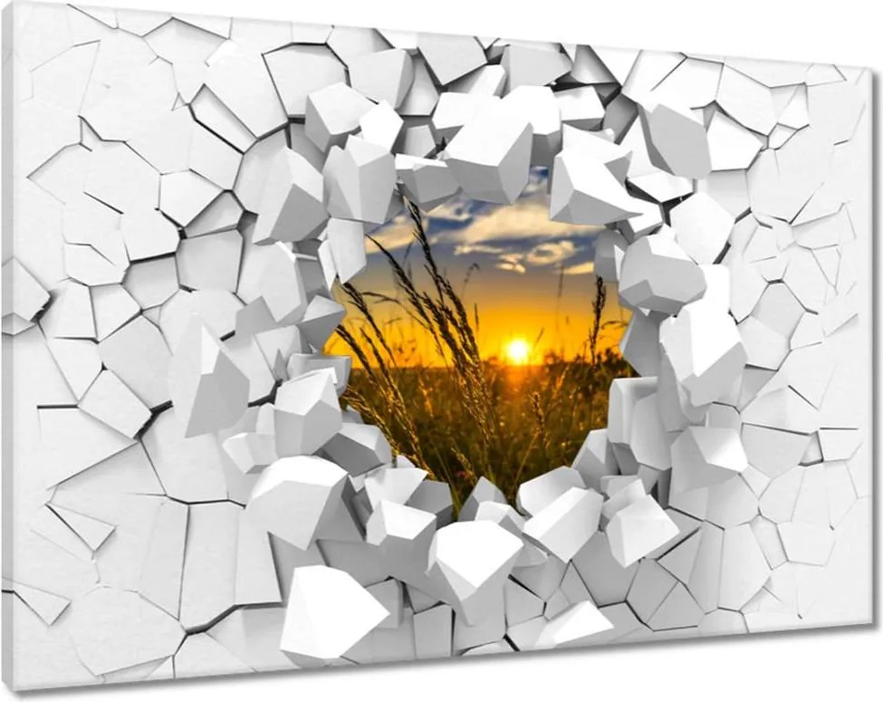 Vászonkép 90x60 Naplemente a füvek között