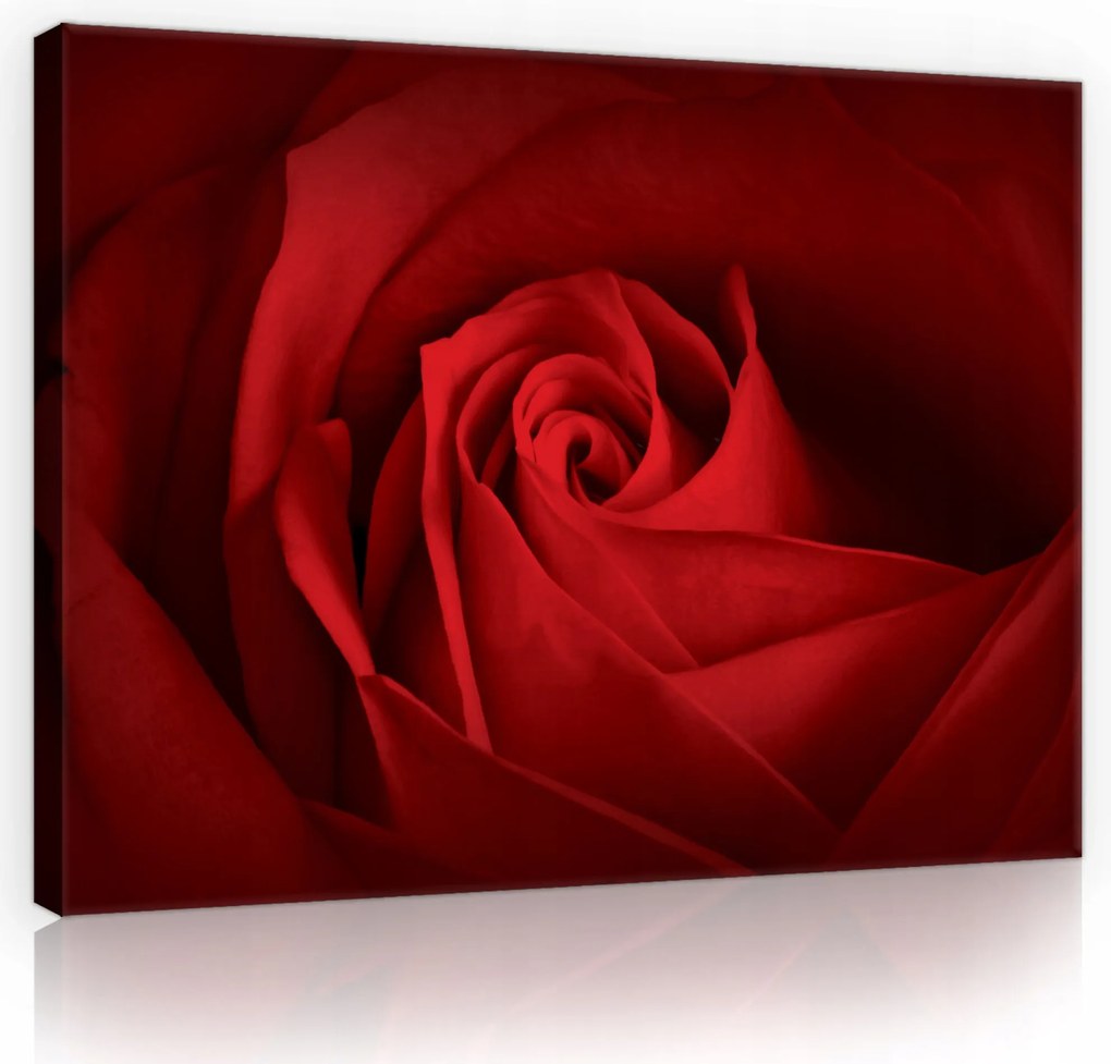 Vászonkép Virágok Vörös Rózsa Vászon Fal Modern Hálószoba 100x70