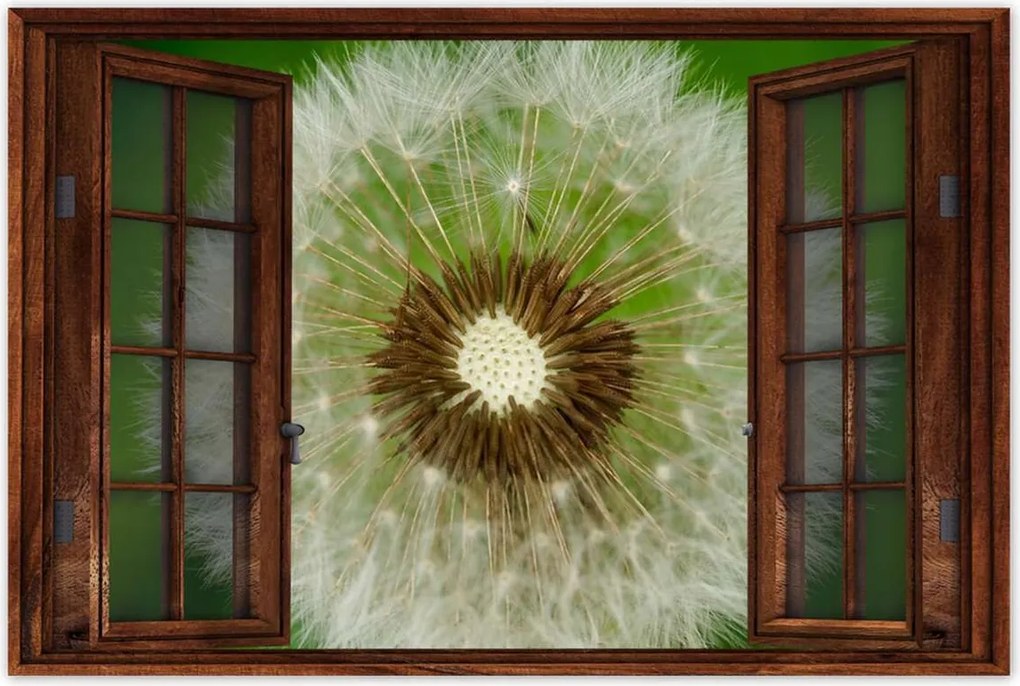 Poszterek 120x80 Pitypang Virág Virágok