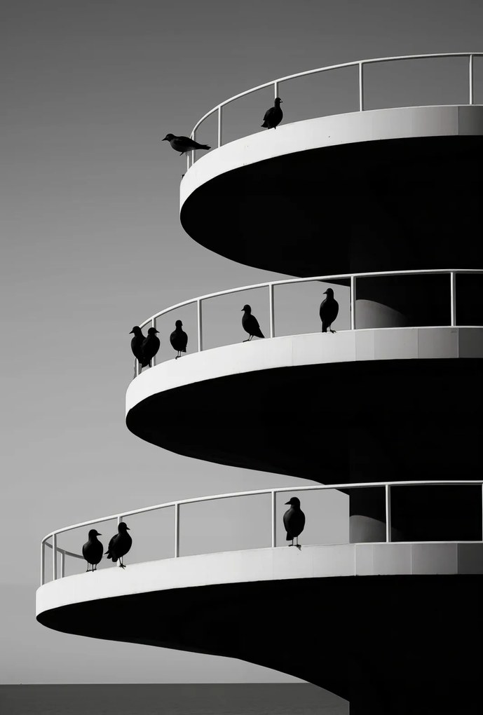 Poszter 67,5x100cm Holló árnyalatok