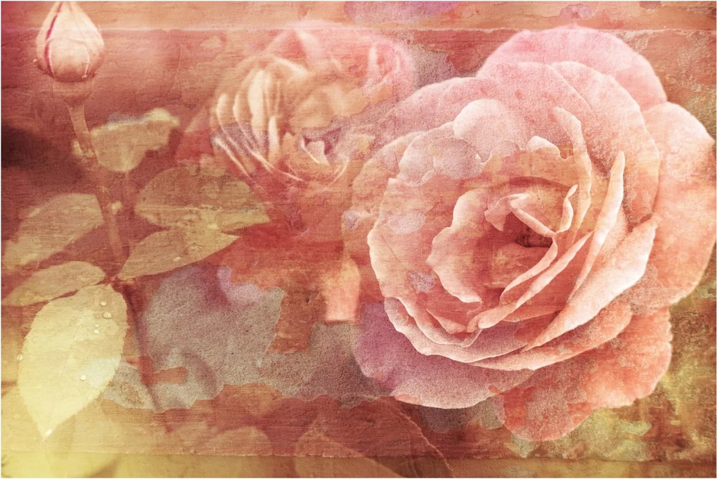 Rózsák képe (90x60 cm)