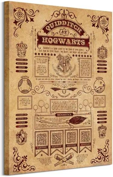 Vászonkép Harry Potter (Quidditch At Hogwarts) 60x80cm WDC99975