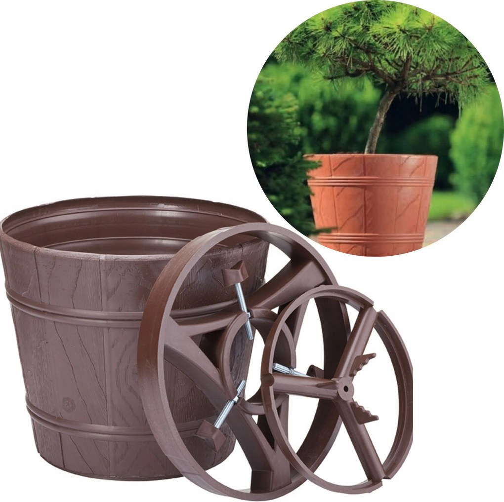 Kerek virágtartó a kertbe fás növényekhez. mini fák, ciprusfélék