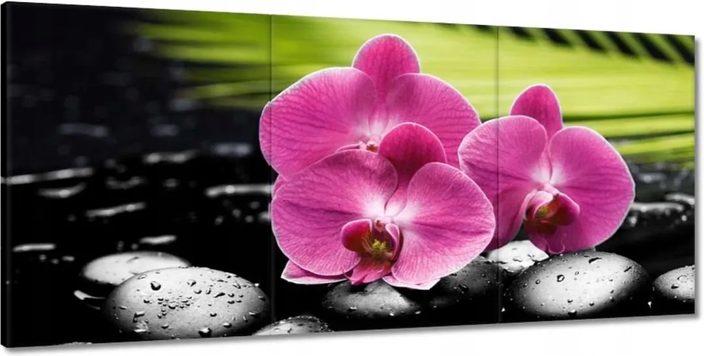 Festmények 210x100 Spa Kövek és leanderek