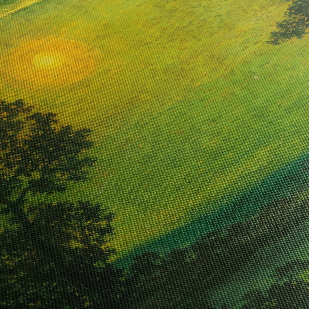 Kép - Imitator of Ralph Albert Blakelock, Moonlight, reprodukciók (90x60 cm)