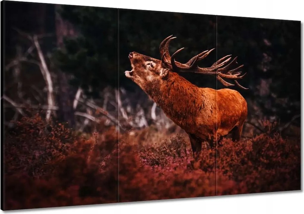 Vászonkép 120x80 Szarvas az erdőben