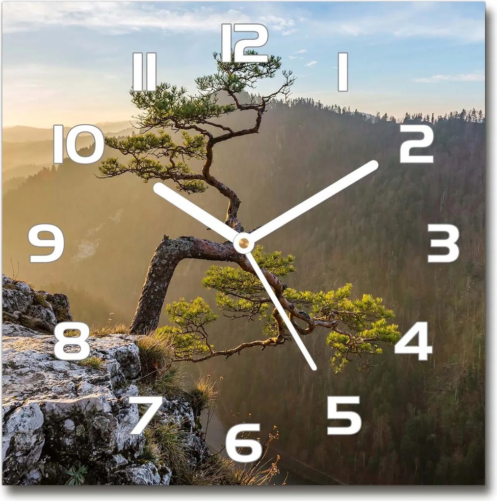 Üveg falióra szögletes Sólyomkő 30x30 cm