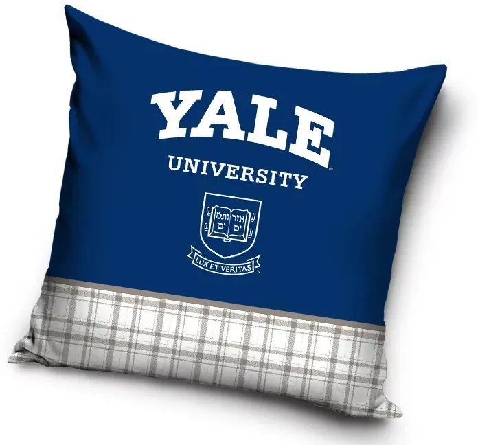 Yale University párnahuzat 40x40 cm
