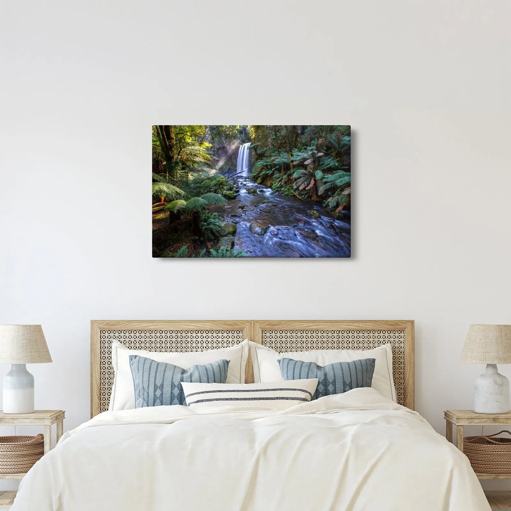 Ausztrál esőerdő képe (90x60 cm)
