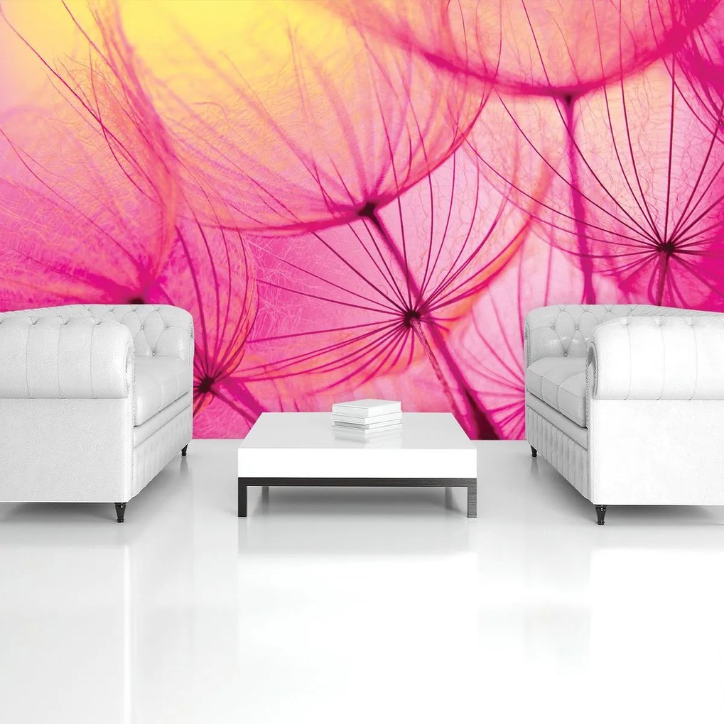 Fotótapéta - Absztrakt művészet (152,5x104 cm)