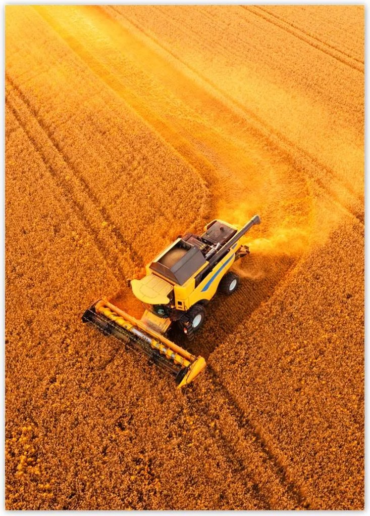 Poszterek 50x70 Kilátás felülről a kombájnra