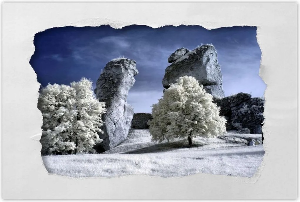 Poszterek 120x80 Tájkép Infravörös fotó