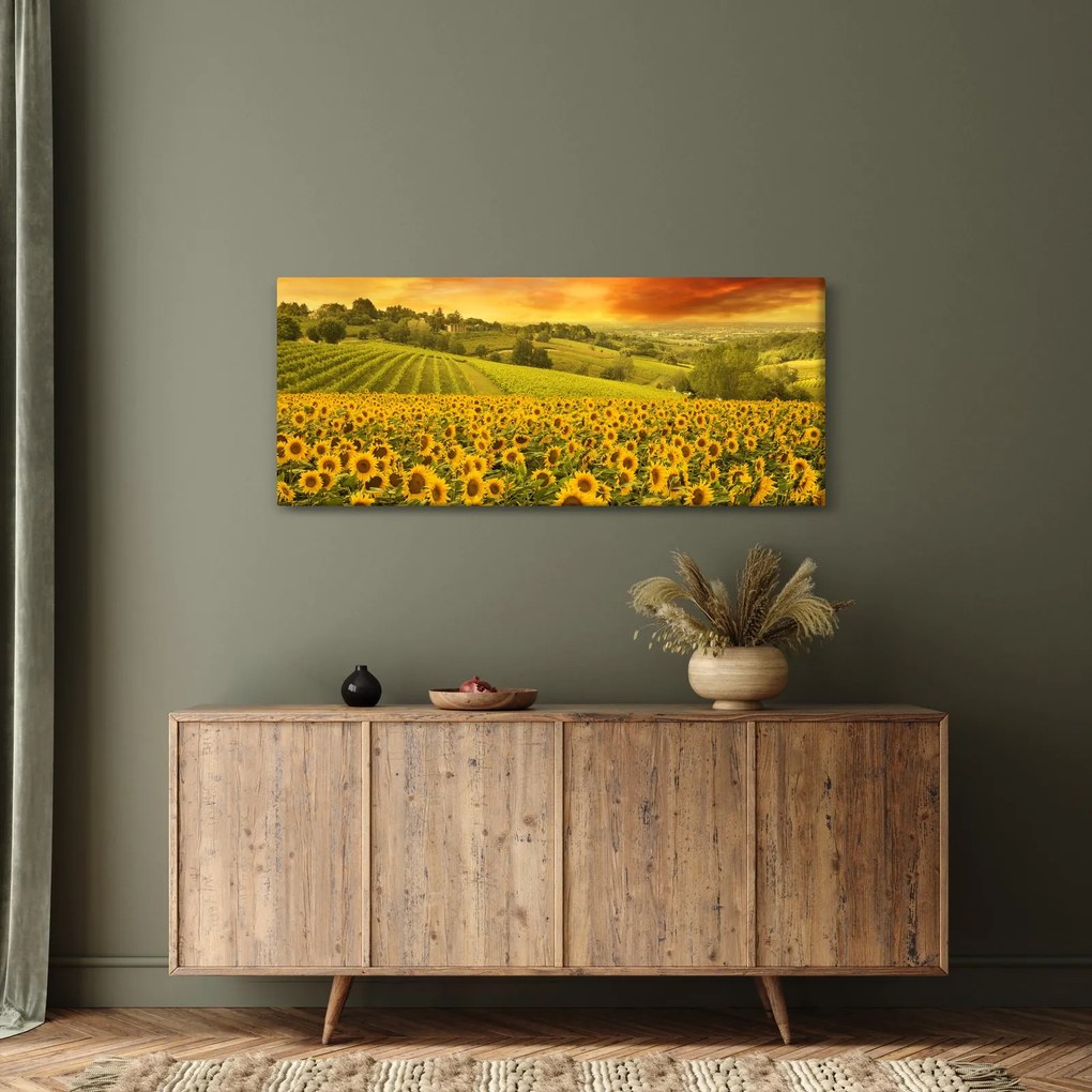 Kép - Napraforgó mező (120x50 cm)