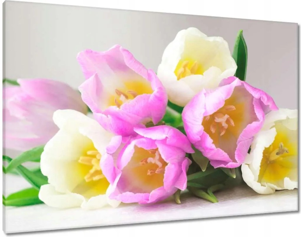 Vászonkép 100x70 Finom tulipánok