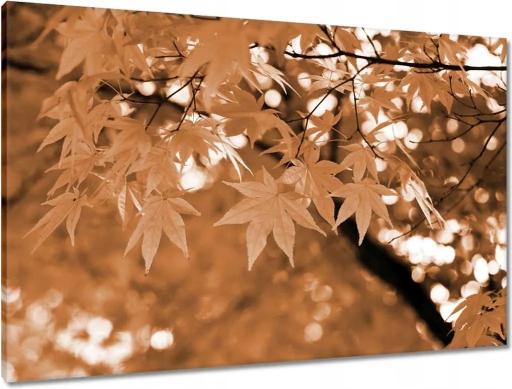 Vászonkép 90x60 Szépia Őszi levelek