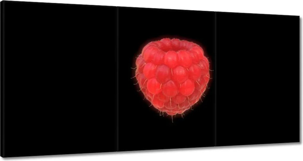 Festmények 120x60 Málna