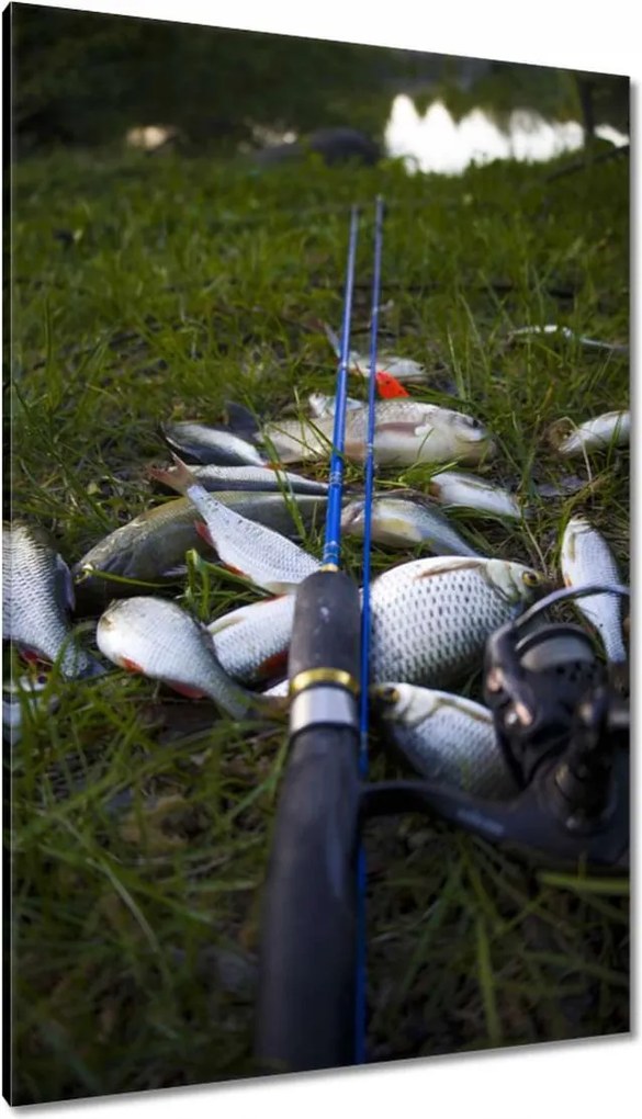 Vászonkép 80x120 Kis halak a fűben