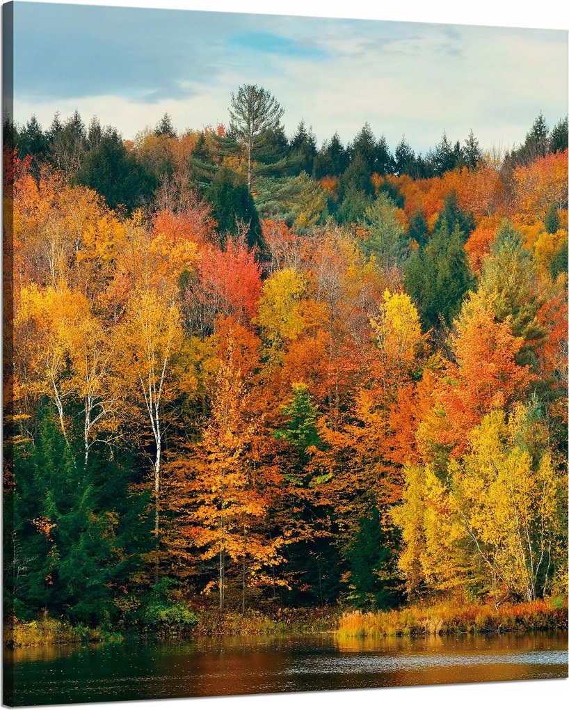 Vászonkép Színes Levelek Fák Ősz Természet 80x100 cm