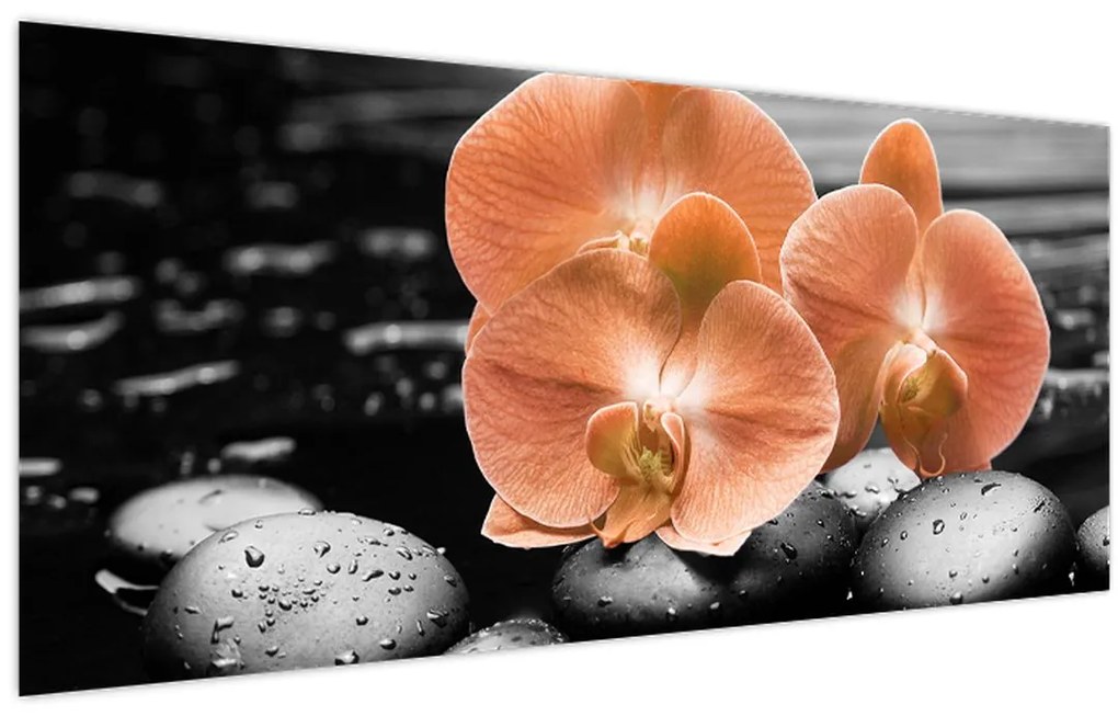 Kép - Narancssárga orchideák (120x50 cm)