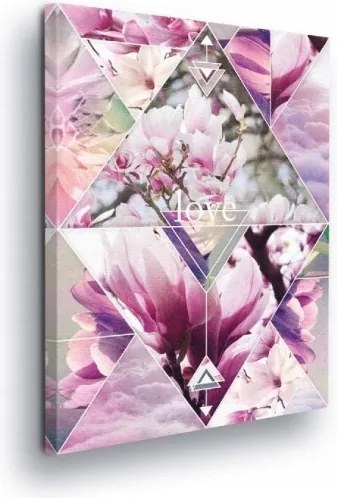 Vászonkép 40x60 Magnólia virágok geometria absztrakt modern rózsaszín