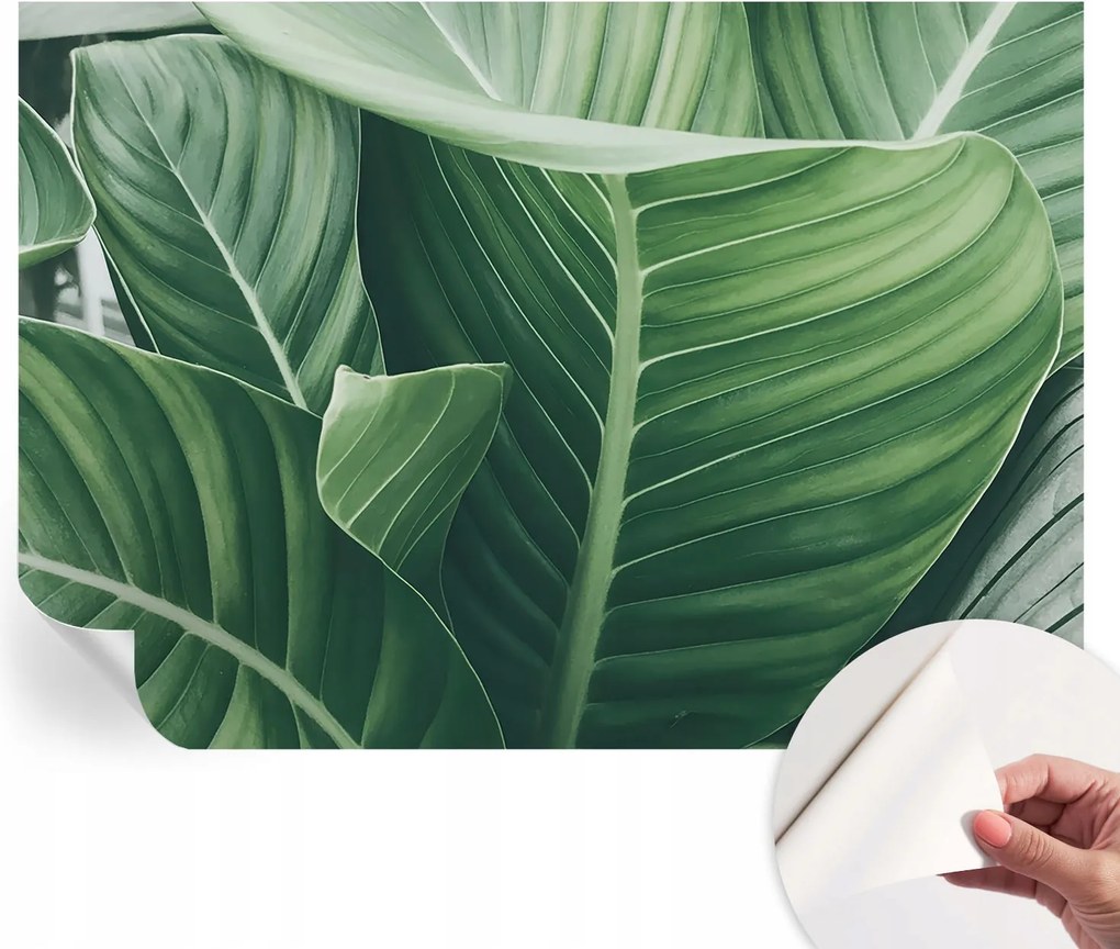 Öntapadós Dekoratív Fotótapéta Hálószobába Zöld nyugalom 312x219 cm