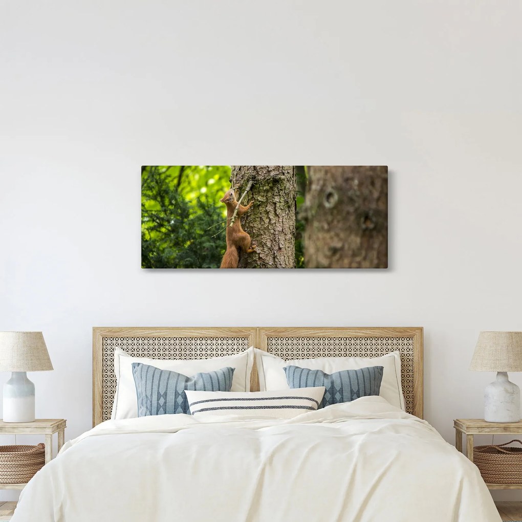 Kép - Mókus (120x50 cm)
