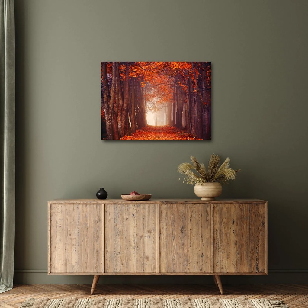 Kép - őszi erdő (70x50 cm)
