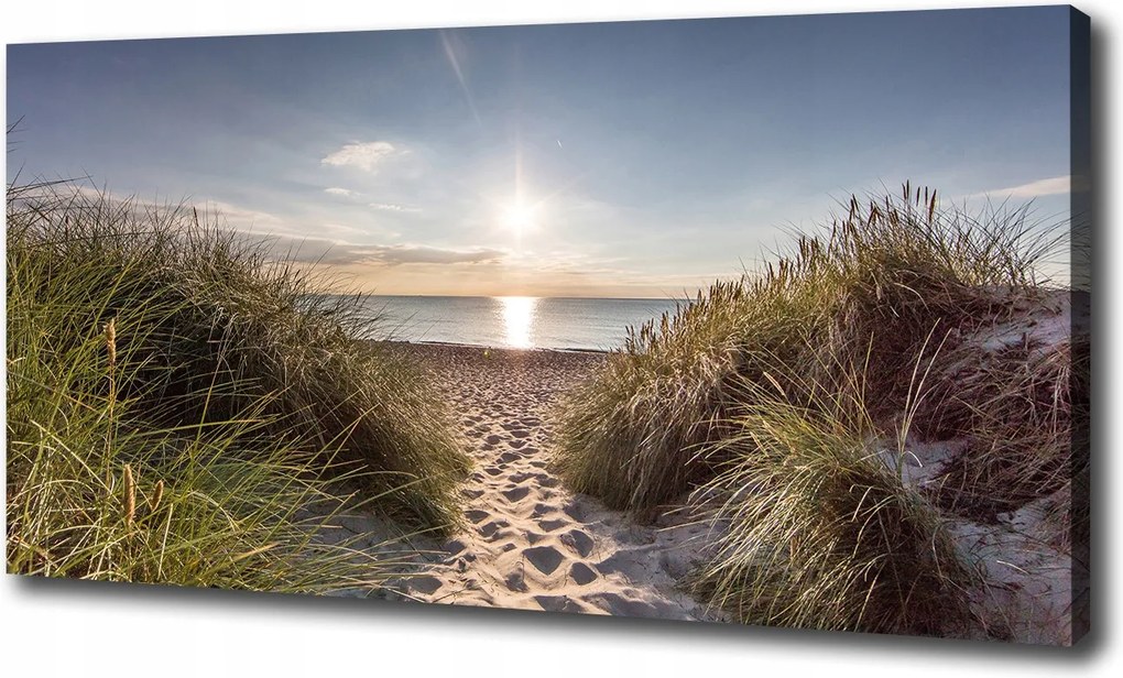 Vászonkép Tengerparti dűnék 100x70 cm