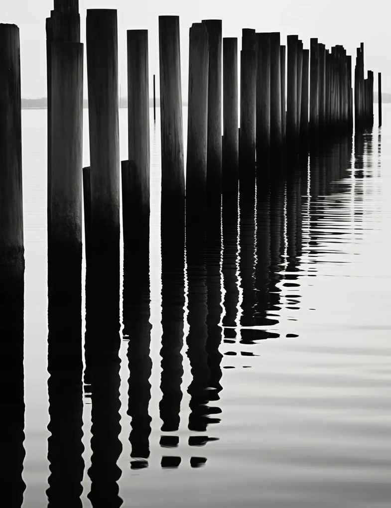 Poszter 50x65cm Víz és fa ritmus