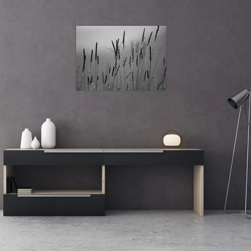 Kép - Fűszálak (70x50 cm)