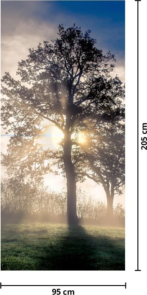 Fotótapéta ajtóra - Fa a ködben (95x205cm)