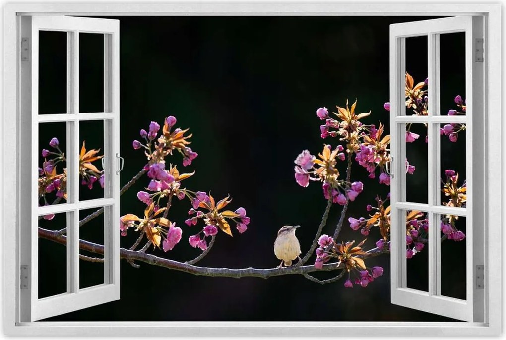 Poszterek 90x60 Madarak