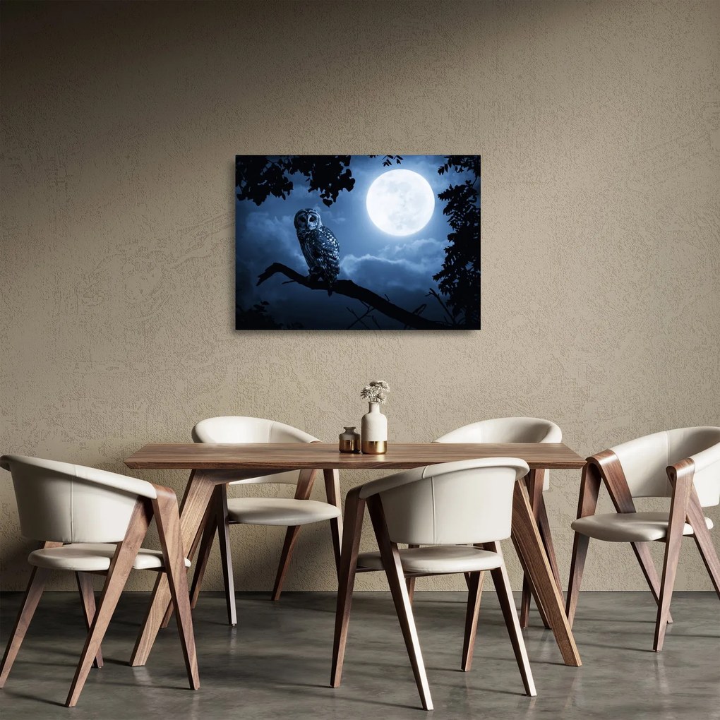 Üveg kép - Éjszakai bagoly (70x50 cm)