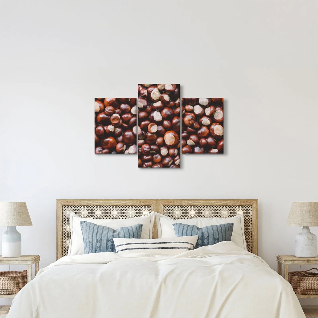 Kép - Érett gesztenye (90x60 cm)