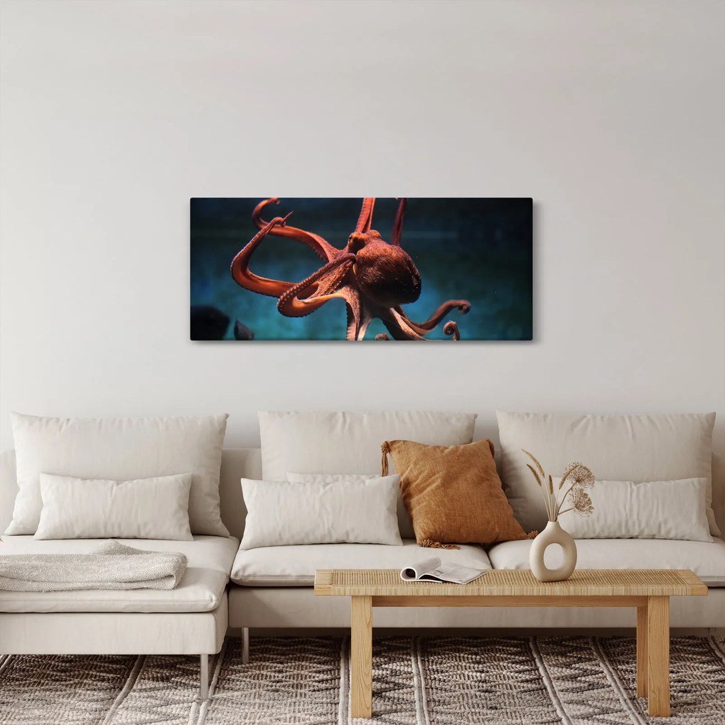 Kép - Octopus (120x50 cm)
