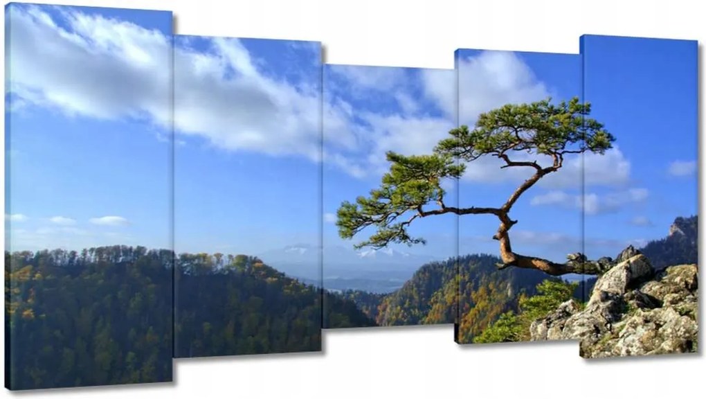 Festmények 150x80 Tájképek Kilátások Tájképek