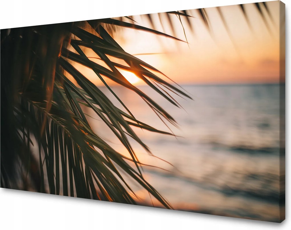 Vászonkép Természet Tengerpart Pálma Tenger Naplemente 80x50