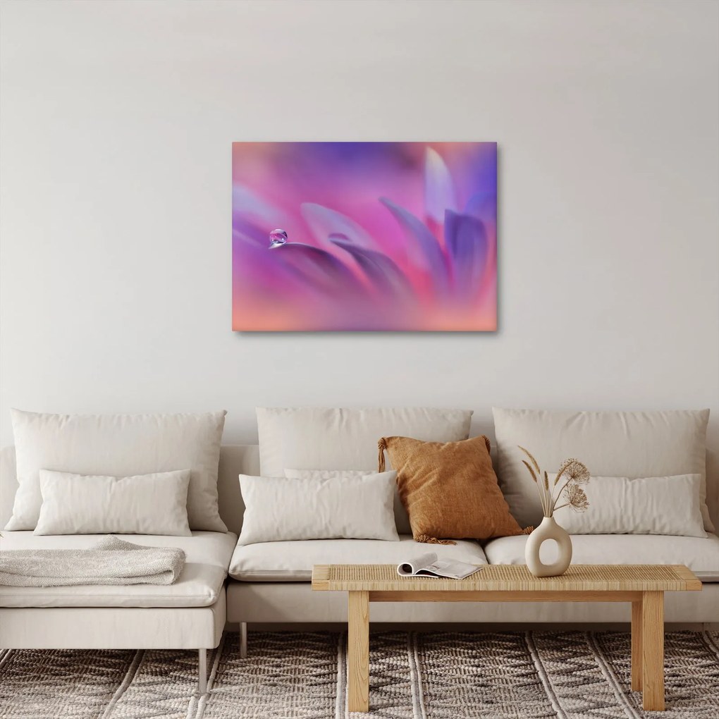 Kép - Csepp a virágon (70x50 cm)