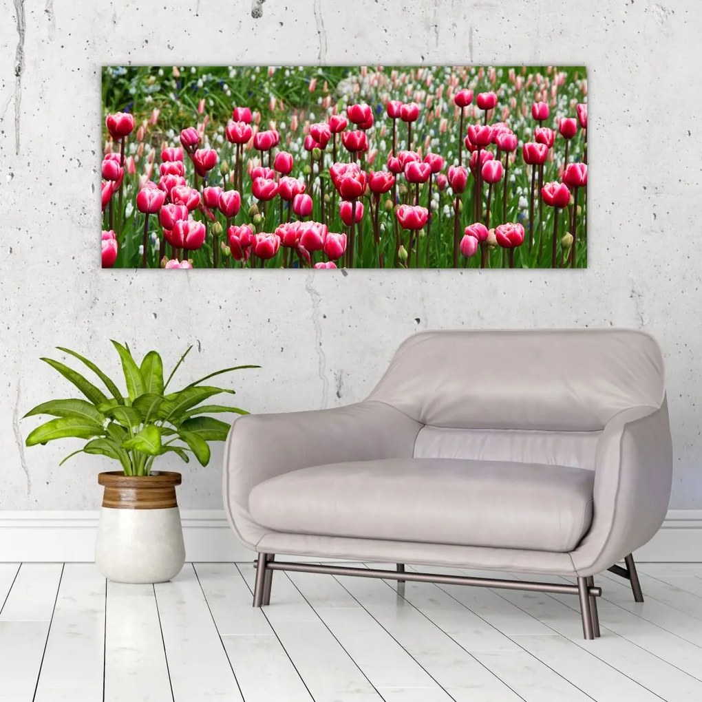 Tulipán képe (120x50 cm)