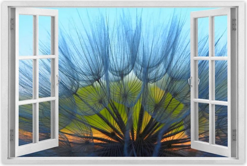 Poszterek 90x60 Pitypang Virág Virágok