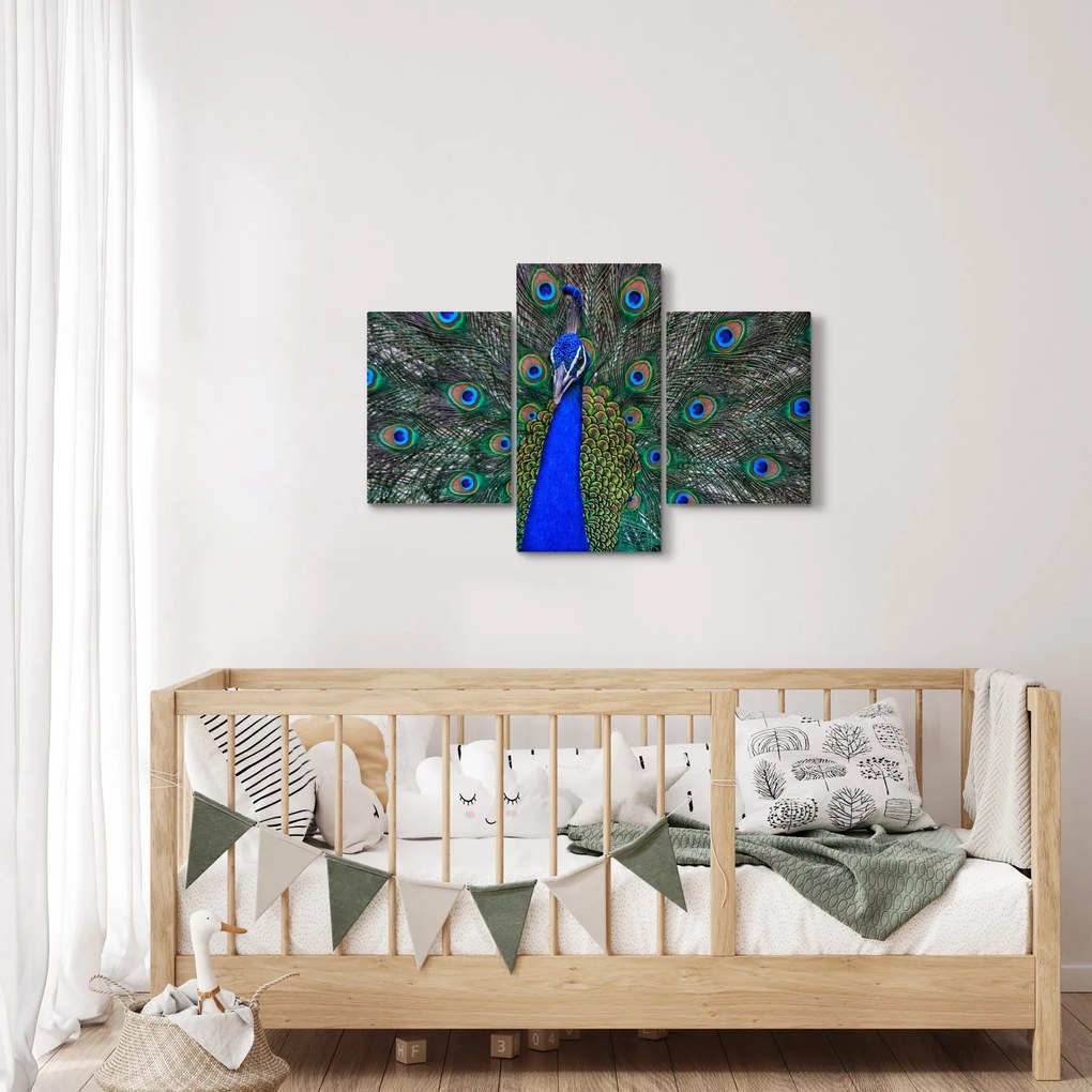 Kép - Páva (90x60 cm)