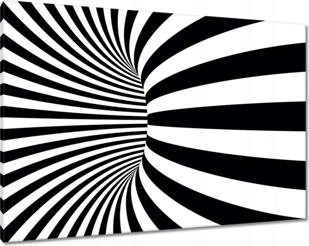 Vászonkép 100x70 Absztrakt fekete-fehér