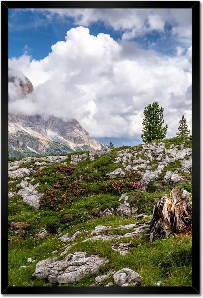 Poszterek keretben 40x60 Bárány a hegyekben Kilátás