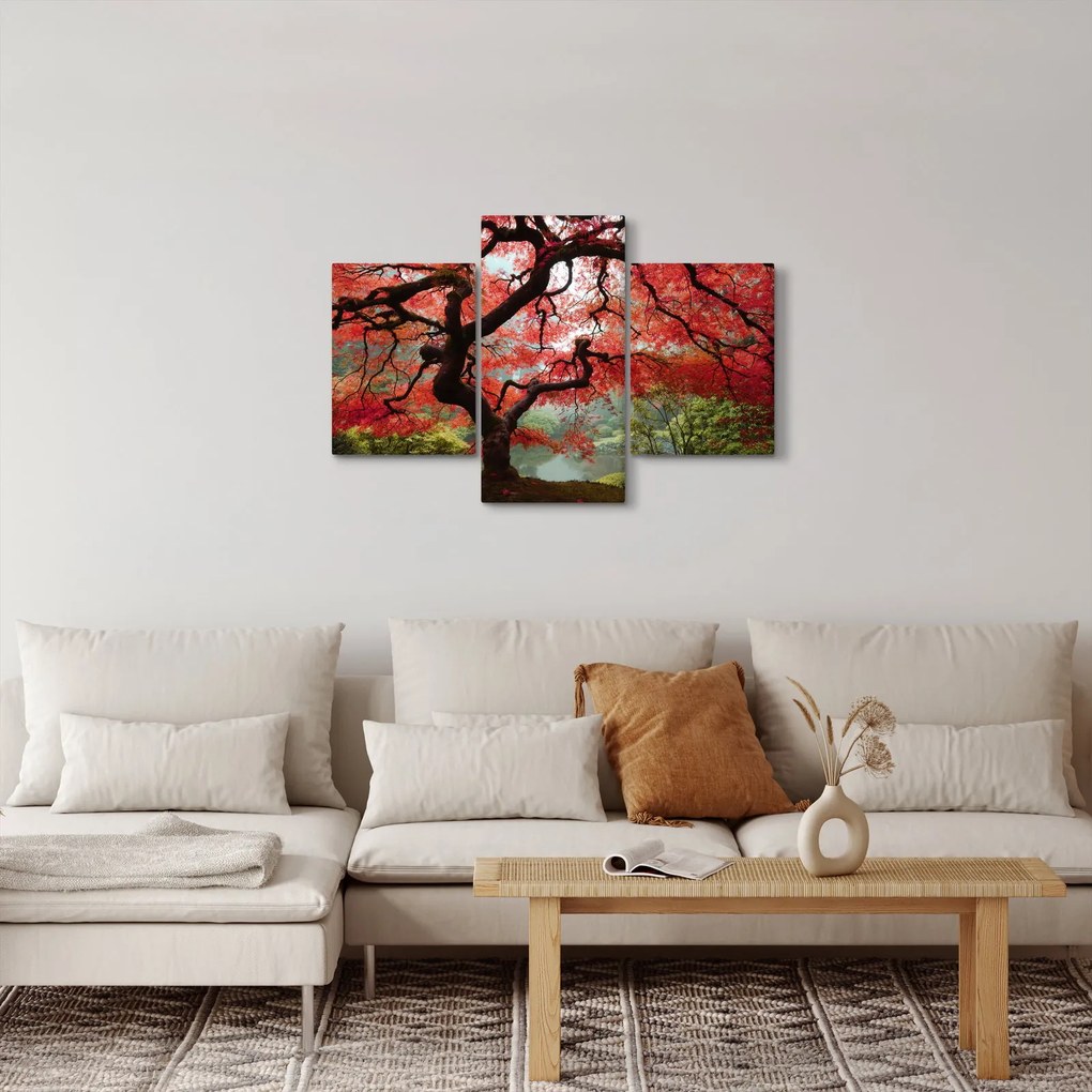 Red Japanese Maple, Portland, Oregon képe (90x60 cm)