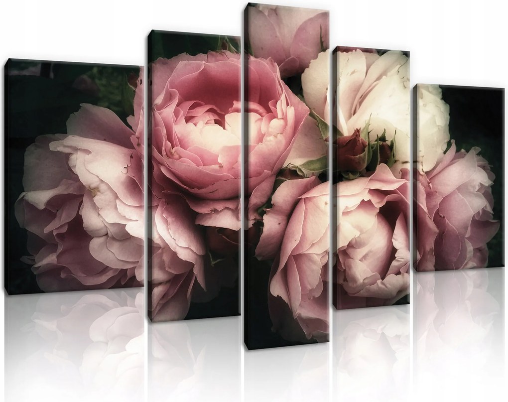 Vászonkép 5 Részes Virágok Bazsarózsa Rózsák Hálószoba Vászon Fal Nagy 170x100