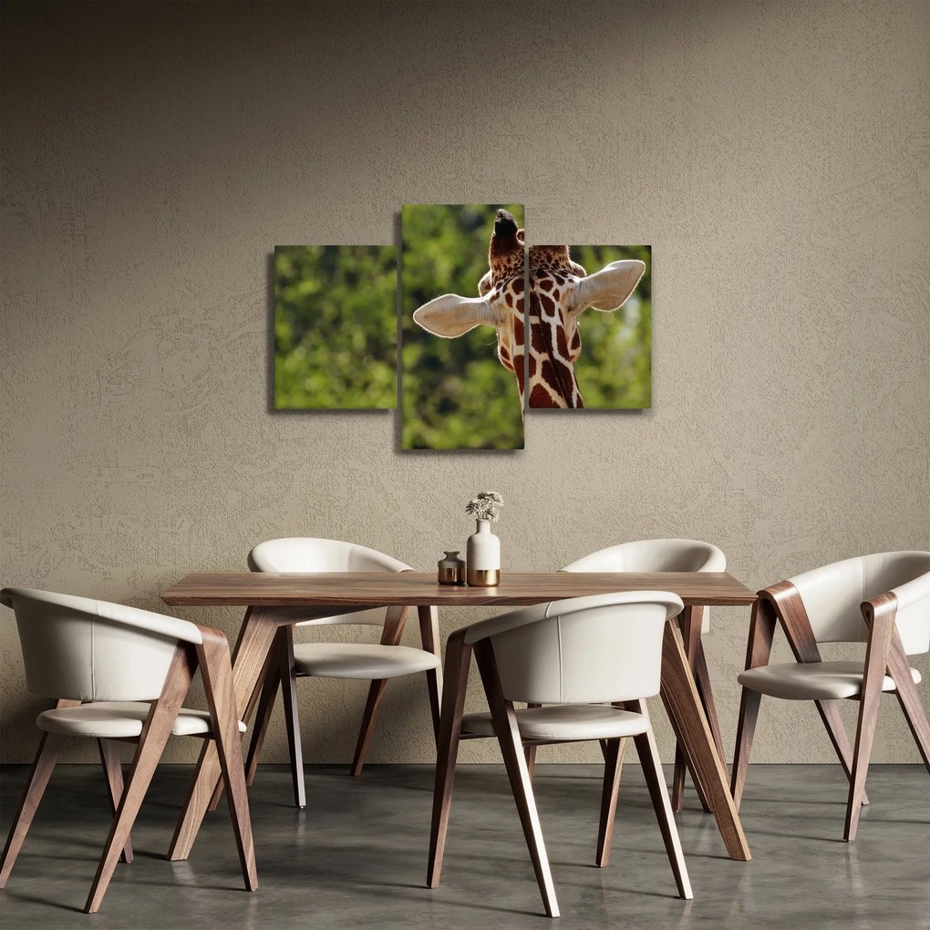 A zsiráf képe hátulról (90x60 cm)