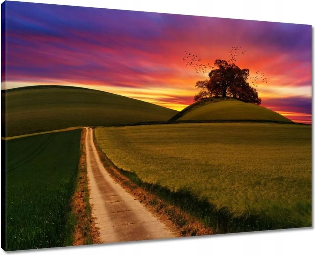 Vászonkép 70x50 Naplemente Hegyek Fa