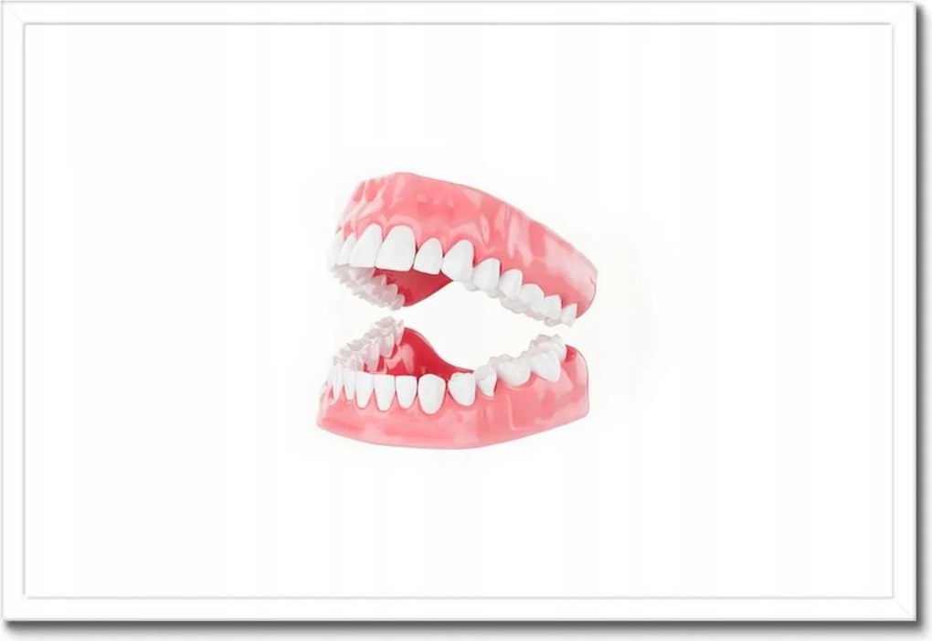 Poszterek keretben 60x40 Állkapocs a dolgozószobába Fogak